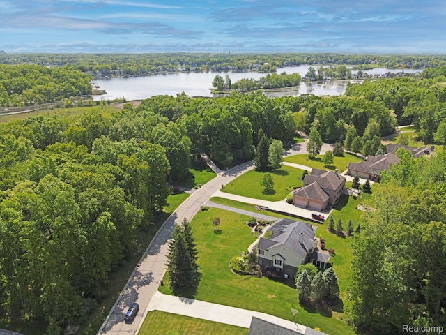 3587 Woodridge Dr, Howell, MI 48843 - photo 63