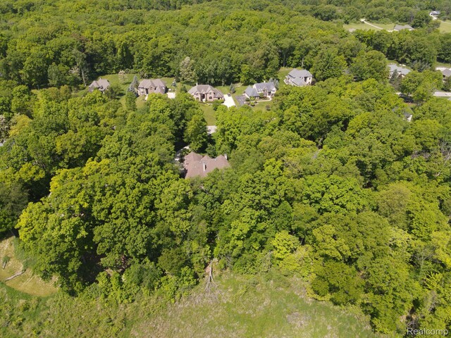 3587 Woodridge Dr, Howell, MI 48843 - photo 61