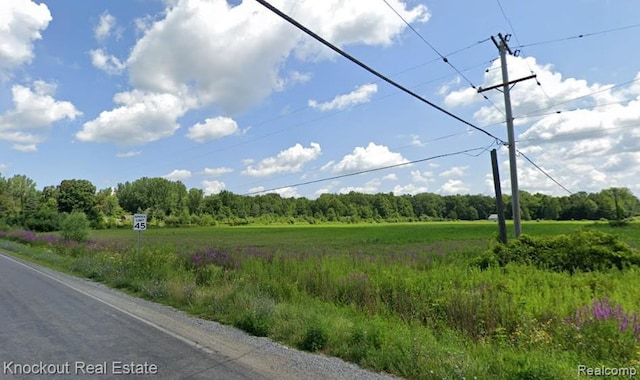 VL Fort Rd, Birch Run, MI 48415