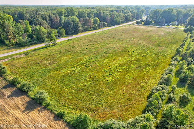 VL Fort Rd, Birch Run, MI 48415