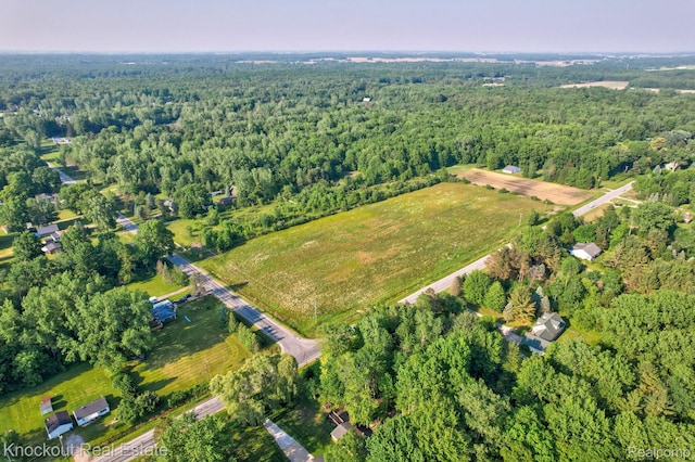 VL Fort Rd, Birch Run, MI 48415