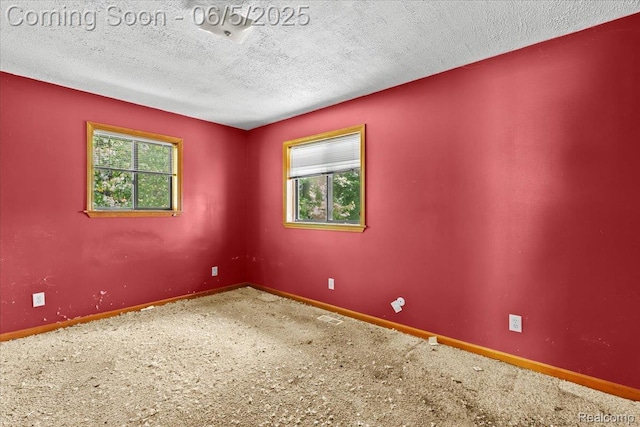 13041 Big Lake Rd, Davisburg, MI 48350 - carpeted spare room with healthy amount of natural light, baseboards, and a textured ceiling
