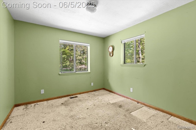 13041 Big Lake Rd, Davisburg, MI 48350 - carpeted spare room with baseboards