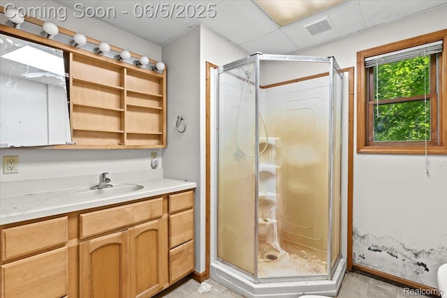 13041 Big Lake Rd, Davisburg, MI 48350 - full bath with a shower stall and vanity