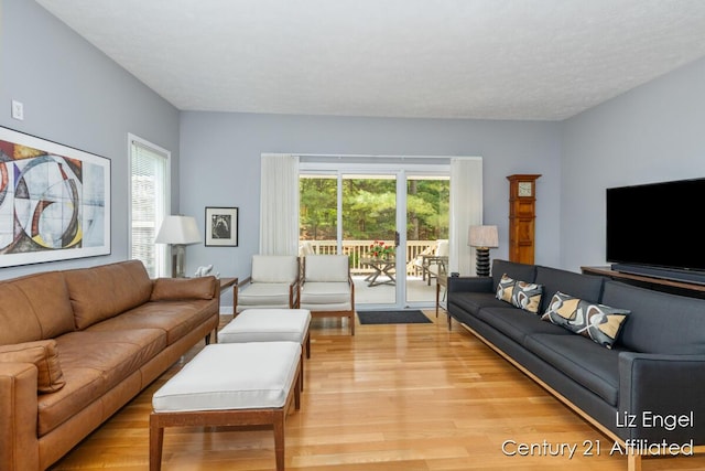458 Amity St, Douglas, MI 49406 - living room with light wood-type flooring and plenty of natural light