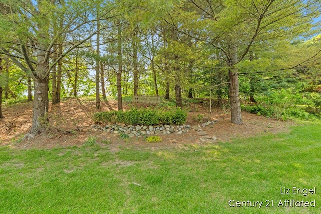 458 Amity St, Douglas, MI 49406 - view of yard