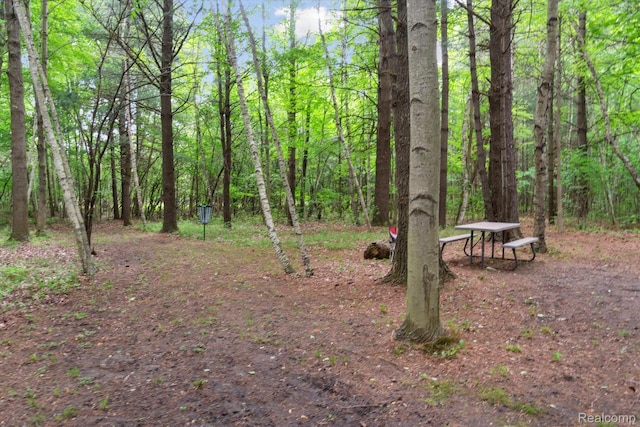 8883 Dixie Hwy, Birch Run, MI 48415 - view of yard with a forest view and a carport