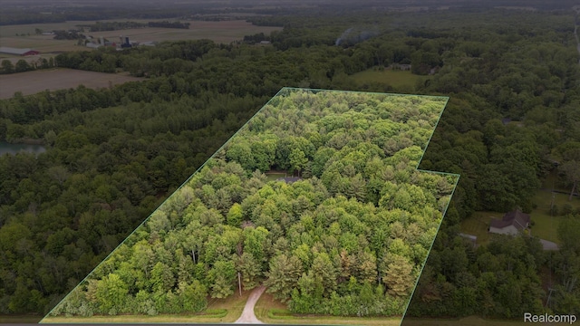 8883 Dixie Hwy, Birch Run, MI 48415 - aerial view of property and surrounding area with a heavily wooded area and property boundaries highlighted