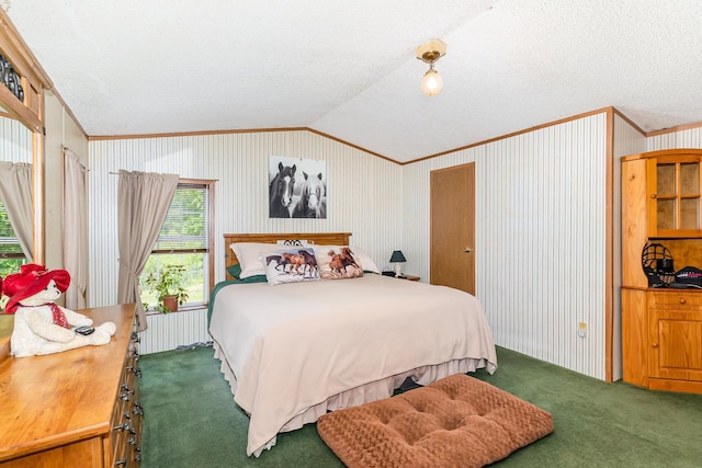 8836 Ora Lake Rd, Hale, MI 48739 - bedroom with carpet floors, vaulted ceiling, crown molding, a textured ceiling, and radiator heating unit