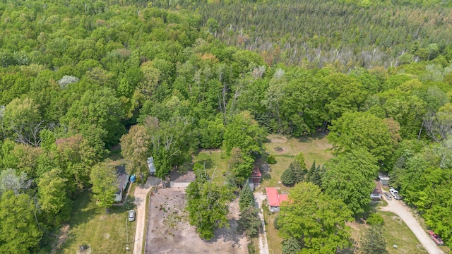 8836 Ora Lake Rd, Hale, MI 48739 - view of property location with a forest