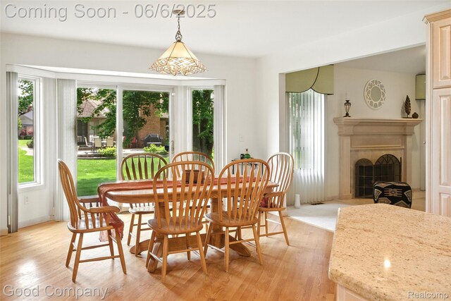 51414 Pinewood Dr, Macomb, MI 48042 - photo 23