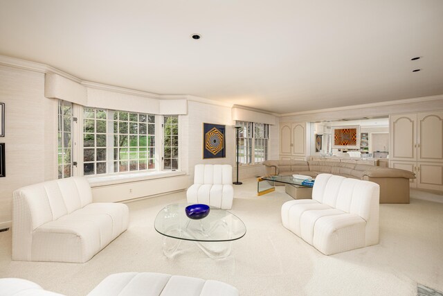 1060 Chestnut St, Ann Arbor, MI 48104 - carpeted living room featuring crown molding and healthy amount of natural light