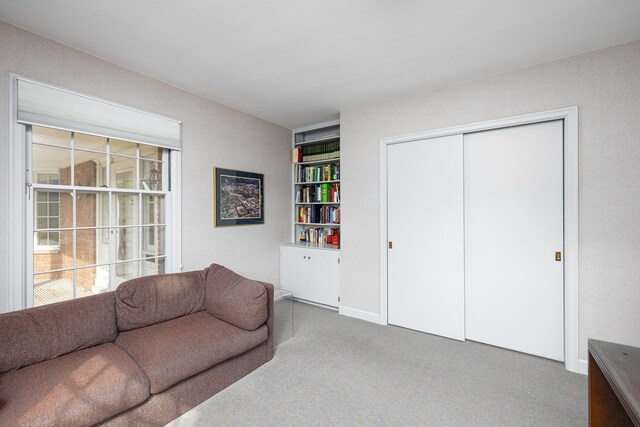 1060 Chestnut St, Ann Arbor, MI 48104 - carpeted living area with built in features