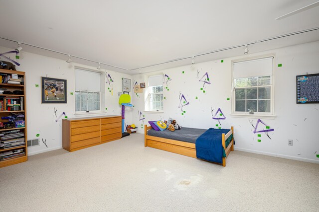 1060 Chestnut St, Ann Arbor, MI 48104 - bedroom with rail lighting, baseboards, and carpet floors