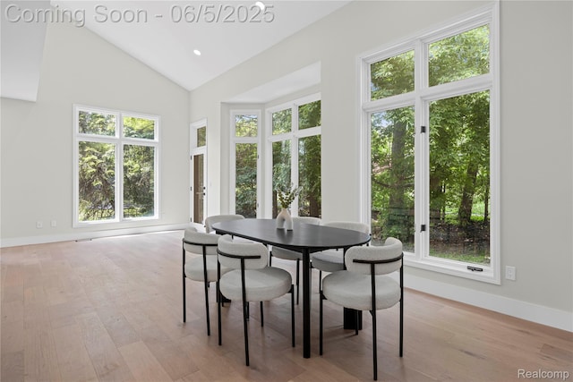 4610 Woodbine Cir W, Bloomfield, MI 48323 - dining area with plenty of natural light, light wood-style flooring, baseboards, and high vaulted ceiling