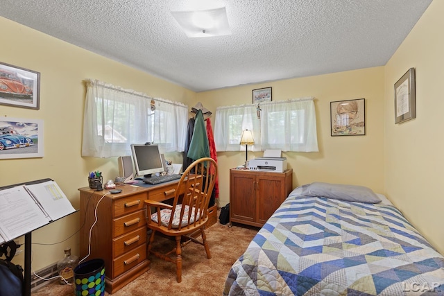 8400 Horton Beach Dr, Manitou Beach, MI 49253 - bedroom featuring light carpet, a textured ceiling, and a desk