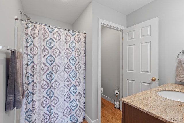 8400 Horton Beach Dr, Manitou Beach, MI 49253 - bathroom with vanity, toilet, wood finished floors, a shower with shower curtain, and baseboards