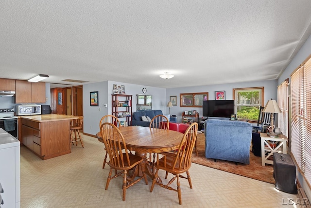 8400 Horton Beach Dr, Manitou Beach, MI 49253 - dining space with light floors, a textured ceiling, and washer / clothes dryer