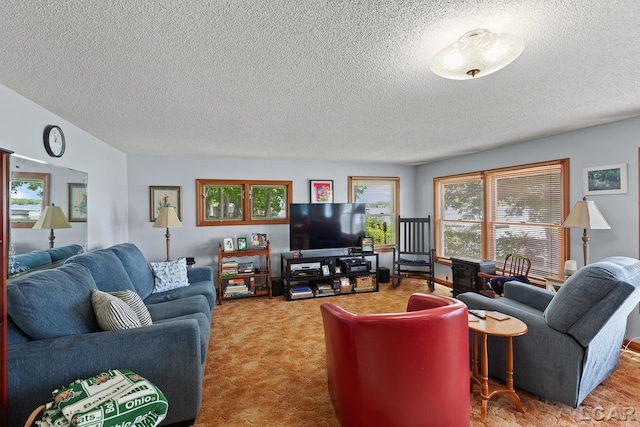 8400 Horton Beach Dr, Manitou Beach, MI 49253 - carpeted living area featuring a textured ceiling