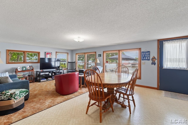 8400 Horton Beach Dr, Manitou Beach, MI 49253 - dining space with light flooring, a textured ceiling, healthy amount of natural light, and baseboards