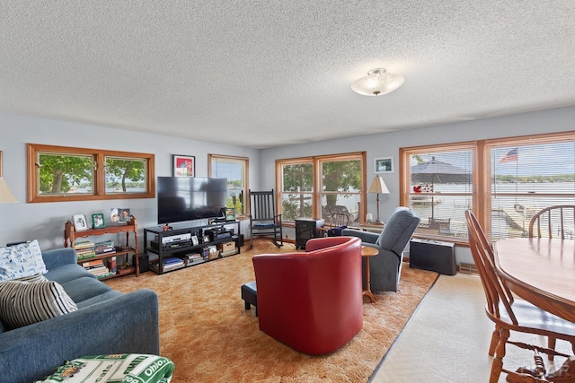 8400 Horton Beach Dr, Manitou Beach, MI 49253 - living room featuring a textured ceiling and carpet floors