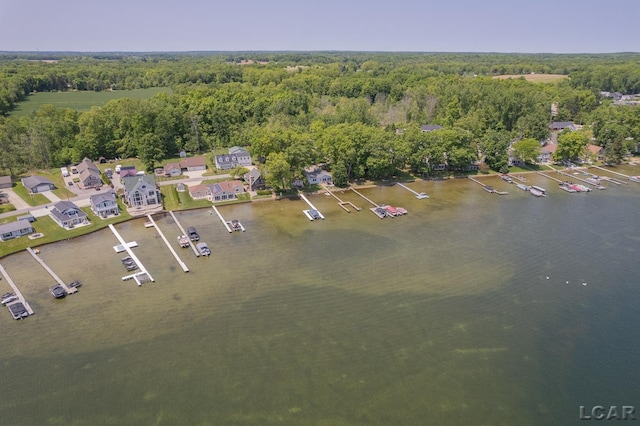 8400 Horton Beach Dr, Manitou Beach, MI 49253 - aerial view of property and surrounding area featuring a heavily wooded area and a large body of water