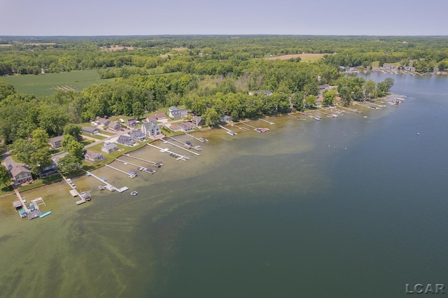 8400 Horton Beach Dr, Manitou Beach, MI 49253 - view of property location featuring a heavily wooded area and a nearby body of water