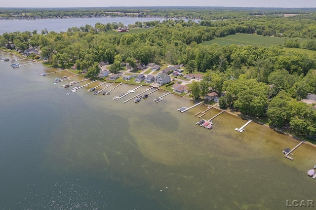 8400 Horton Beach Dr, Manitou Beach, MI 49253 - bird's eye view of a large body of water
