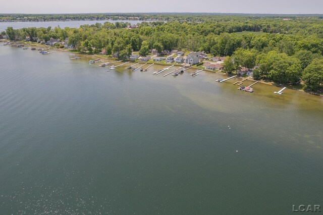 8400 Horton Beach Dr, Manitou Beach, MI 49253 - drone / aerial view of a large body of water