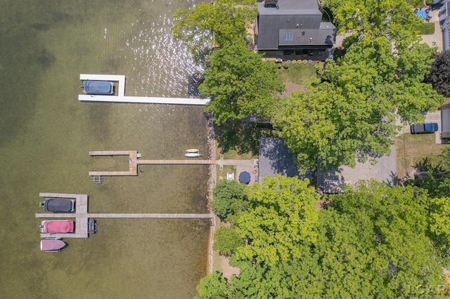 8400 Horton Beach Dr, Manitou Beach, MI 49253 - bird's eye view