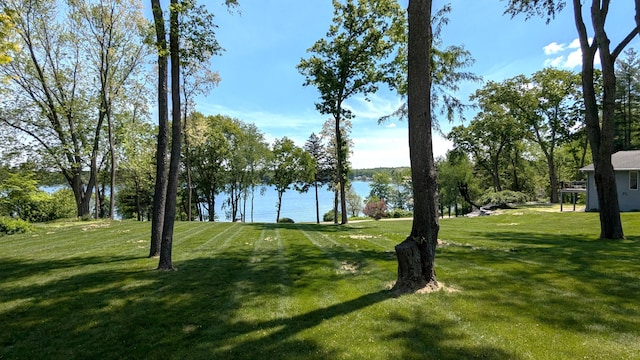 66109 Hideaway Ln, Sturgis, MI 49091 - view of green lawn featuring a water view