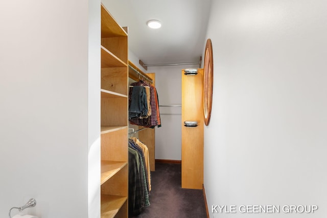 2229 Brighton St, Holland, MI 49424 - walk in closet with dark carpet