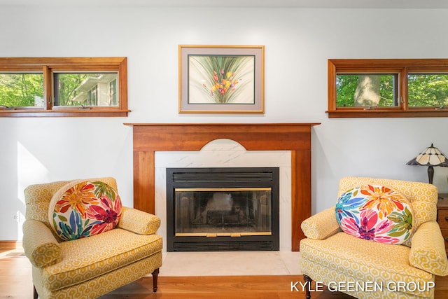 2229 Brighton St, Holland, MI 49424 - detailed view of a fireplace and wood finished floors