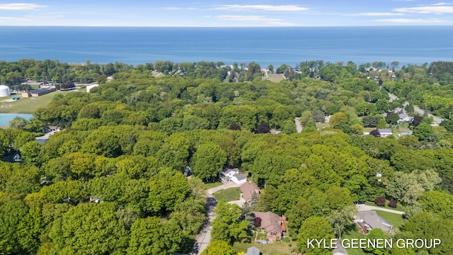 2229 Brighton St, Holland, MI 49424 - aerial view of property and surrounding area featuring a heavily wooded area and a large body of water
