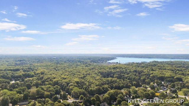 2229 Brighton St, Holland, MI 49424 - bird's eye view of a forest and a large body of water