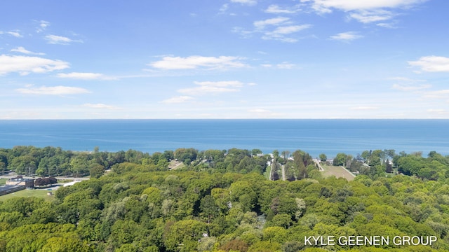 2229 Brighton St, Holland, MI 49424 - aerial view of a large body of water and a forest
