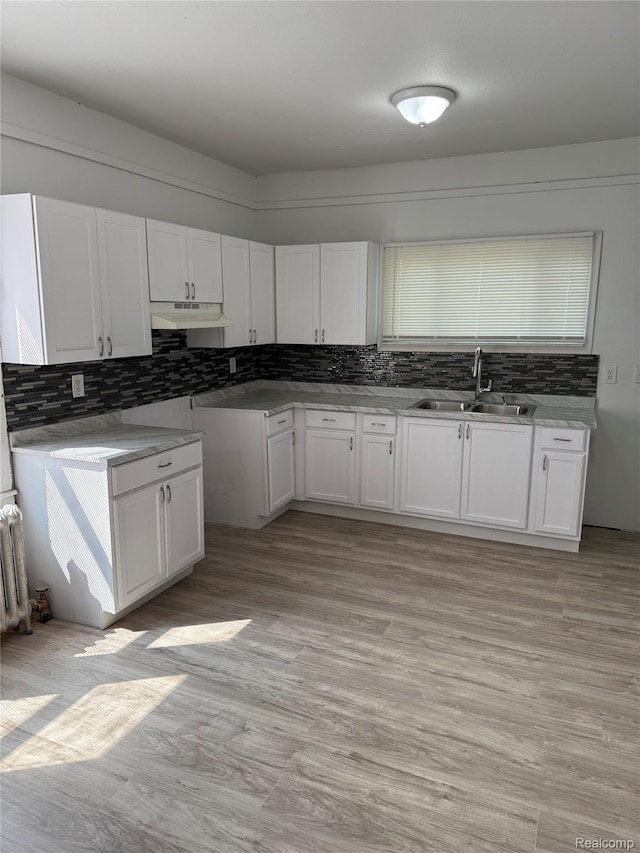48 W Charlotte St, Ecorse, MI 48229 - kitchen with a sink, backsplash, under cabinet range hood, and white cabinetry