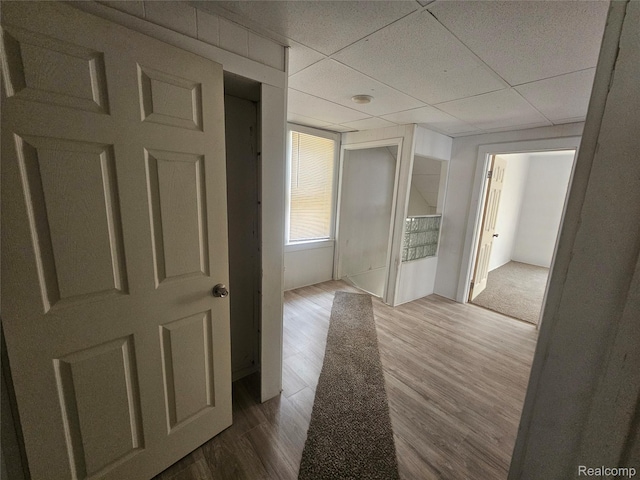 48 W Charlotte St, Ecorse, MI 48229 - hallway with wood finished floors and a drop ceiling