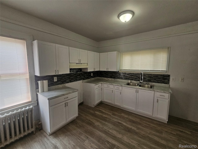 48 W Charlotte St, Ecorse, MI 48229 - kitchen featuring a sink, radiator heating unit, white cabinetry, decorative backsplash, and under cabinet range hood