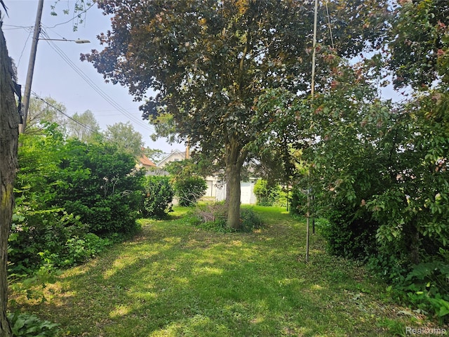 48 W Charlotte St, Ecorse, MI 48229 - view of green lawn