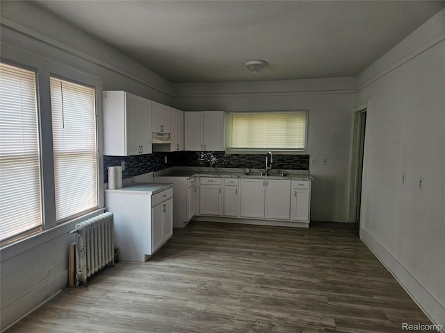 48 W Charlotte St, Ecorse, MI 48229 - kitchen with radiator, a sink, backsplash, white cabinets, and dark wood-type flooring