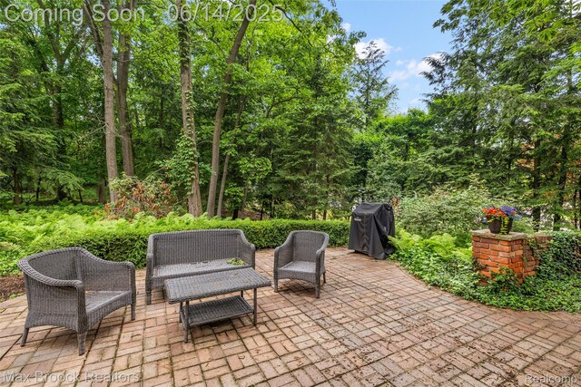3546 Bloomfield Club Dr, Bloomfield Hills, MI 48301 - view of patio / terrace featuring grilling area