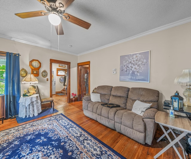 405 E Saginaw St, Saint Louis, MI 48880 - living room with ornamental molding, a textured ceiling, wood finished floors, and a ceiling fan