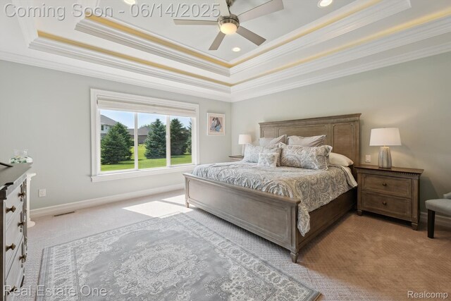 446 Delmar Ct, Highland, MI 48357 - bedroom featuring a raised ceiling, ornamental molding, carpet floors, ceiling fan, and baseboards