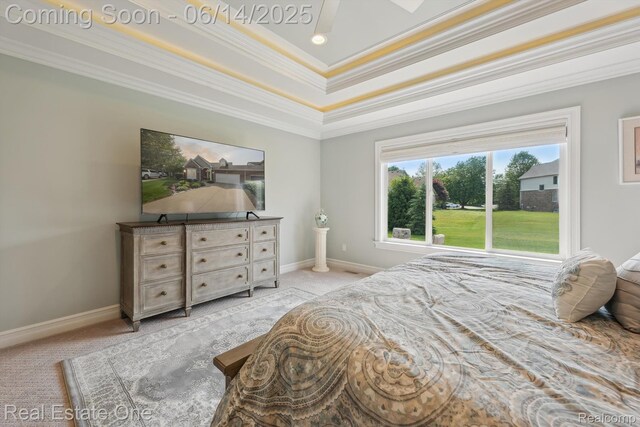 446 Delmar Ct, Highland, MI 48357 - bedroom with crown molding, light colored carpet, baseboards, and a tray ceiling