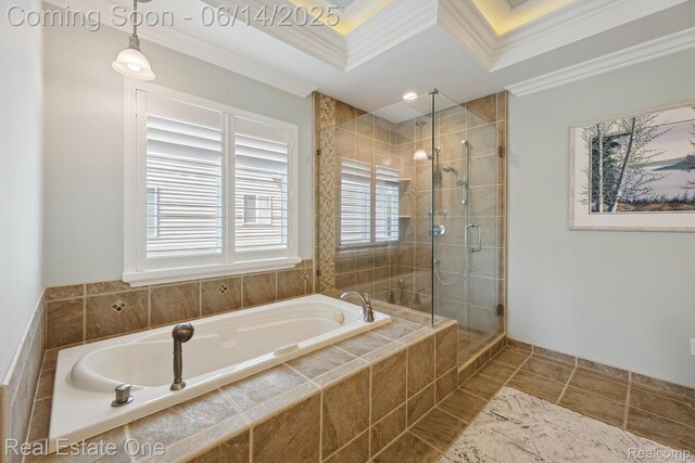 446 Delmar Ct, Highland, MI 48357 - full bath featuring crown molding, a garden tub, and a stall shower