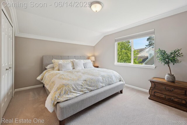 446 Delmar Ct, Highland, MI 48357 - carpeted bedroom with crown molding, baseboards, and lofted ceiling