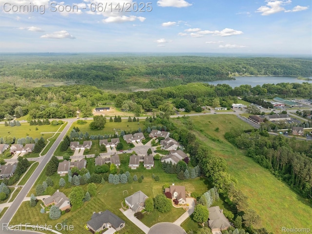 446 Delmar Ct, Highland, MI 48357 - aerial view of property and surrounding area featuring a forest and a large body of water