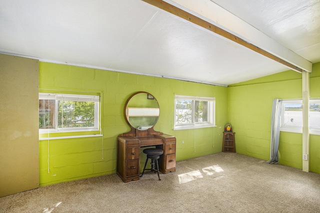 236 Tuttle Park Dr, Sherwood, MI 49089 - photo 10