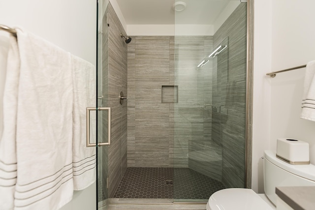218 W Kingsley St Unit 507, Ann Arbor, MI 48103 - bathroom featuring toilet and a stall shower